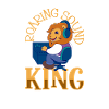 Lion-strong sound - sound engineer