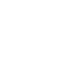 Microphone icon