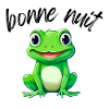 Bonne nuit grenouille