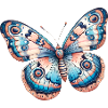Butterfly, flower - Légèreté Envolée