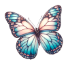 Papillon - Beauté Aérienne