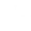 Runen Pfalz 2