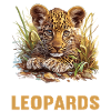 Leoparden Leopard