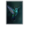 Hummingbird Kolibris Kolibri