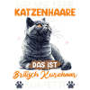 British Shorthair INTET HÅR BRITISK KORTHÅR