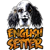 english setter