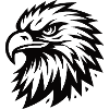Cool eagle design
