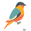 Cooler bunter Vogel