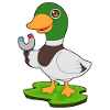 Duck Magnet