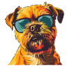 Griffon Bruxellois, Brussles Griffon, Dog