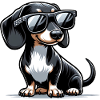 Cute Dachshund Dog