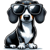 Cute Dachshund Dog
