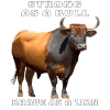 STRONG AS A BULL, BRAVE AS A LION