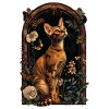 Abyssinian cat