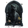 Chartreux Cat