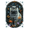 British Shorthair Cat