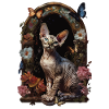 Chat Devon Rex