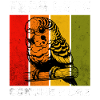 Sun parakeet sayings