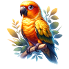 Sun parakeet