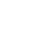 Fly