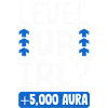 Level UP IRL? +5000 Aura