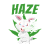 Der Haze