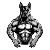 Dog Muscles Fitness Beast