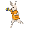 Rabbit Handball Player Handball