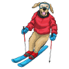 Labrador Skifahrer Ski