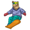 Bär Snowboard Sports d’hiver