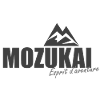 Logo gris MOZUKAI OFFICIEL