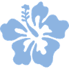 Hibiscus Flower - Light blue