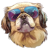 Pekingese, dog, sunglasses, summer, gift