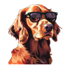 Irish Setter, Dog, Sunglasses, Summer