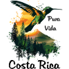 Hummingbird Fugl Natur Dyr Villmark Nektar Costa Rica