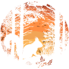 Eichhörnchen Wald Baumhörnchen Hörnchen