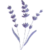 lavendel relief