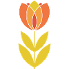 Mid-Century Tulpenblume
