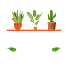 MES PLANTES M’ENCOURAGENT