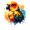 Sun parakeet