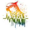 Sun Parakeet Cardio