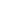 Roar I'm A Lion 3