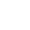 Theatre Director
