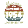 Awesome since November 1954 - Birthday