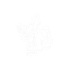 Stop Watering Dead Plants 4