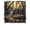 Fourmis fourmis