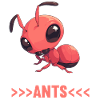 Fourmis fourmis