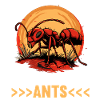 Fourmis fourmis