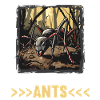 Fourmis fourmis