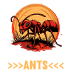 Fourmis fourmis